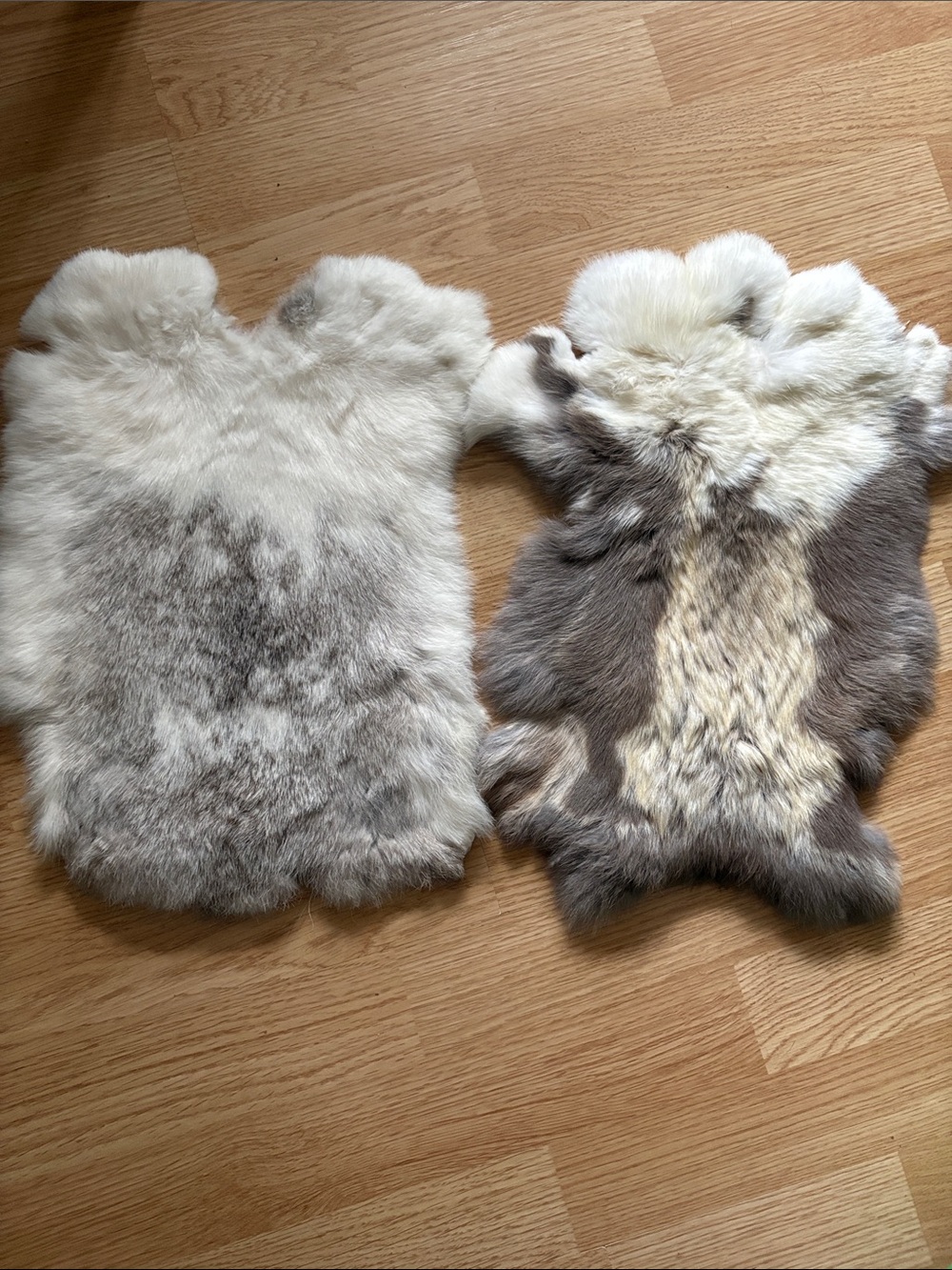 B0239 set natural rabbit pelts craft supply